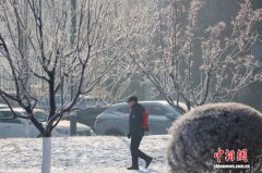 沈阳现雾凇景观